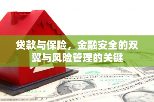 稻城贷款与保险，金融安全的双翼与风险管理的关键