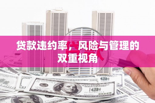 临沧贷款违约率，风险与管理的双重视角