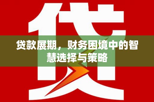 玄武贷款展期，财务困境中的智慧选择与策略