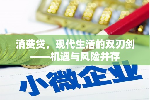 贞丰消费贷，现代生活的双刃剑——机遇与风险并存