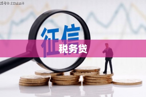 青白江税务贷