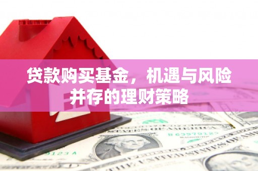普湾新区贷款购买基金，机遇与风险并存的理财策略