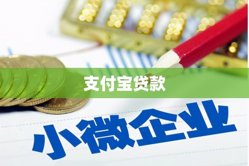 岳塘支付宝贷款
