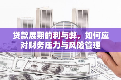 澜沧贷款展期的利与弊，如何应对财务压力与风险管理
