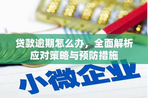 旬阳贷款逾期怎么办，全面解析应对策略与预防措施
