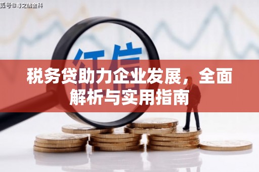 海端税务贷助力企业发展，全面解析与实用指南