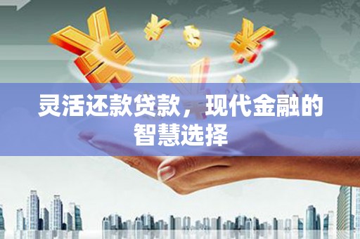 万峦灵活还款贷款，现代金融的智慧选择