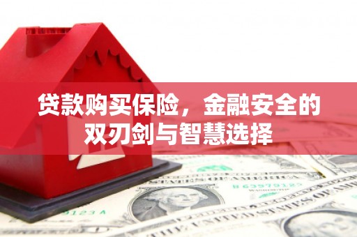 临汾贷款购买保险，金融安全的双刃剑与智慧选择