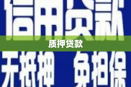 巍山质押贷款