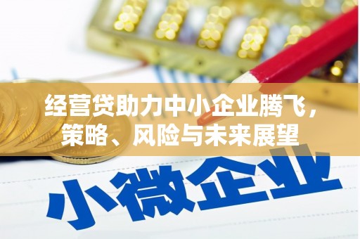皇姑经营贷助力中小企业腾飞，策略、风险与未来展望