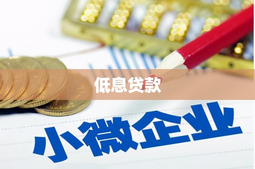新蔡低息贷款