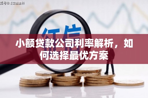 黑龙江小额贷款公司利率解析，如何选择最优方案