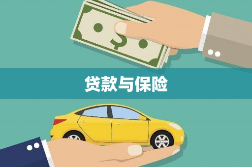 东乡族贷款与保险