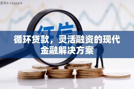 临翔循环贷款，灵活融资的现代金融解决方案