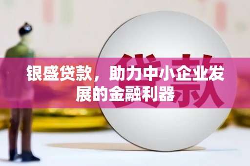 嘉黎银盛贷款，助力中小企业发展的金融利器