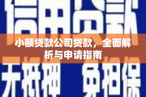 南投市小额贷款公司贷款，全面解析与申请指南