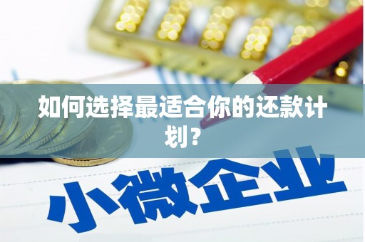 广阳如何选择最适合你的还款计划？