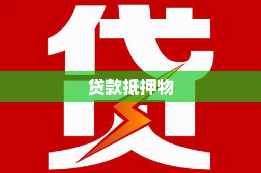 隆回贷款抵押物