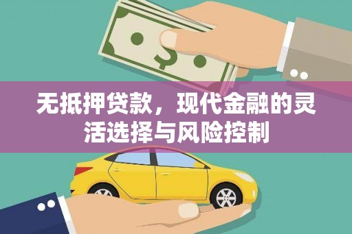 阜宁无抵押贷款，现代金融的灵活选择与风险控制