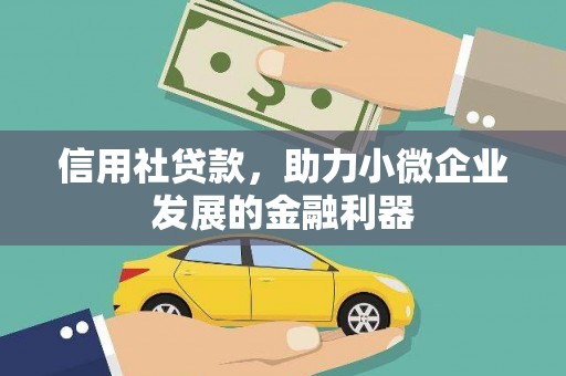 乐东信用社贷款，助力小微企业发展的金融利器