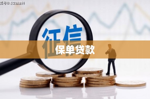 珲春保单贷款