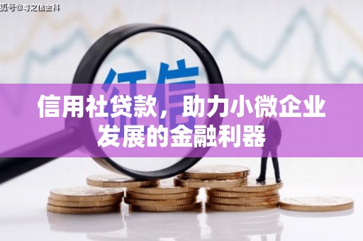 学甲信用社贷款，助力小微企业发展的金融利器