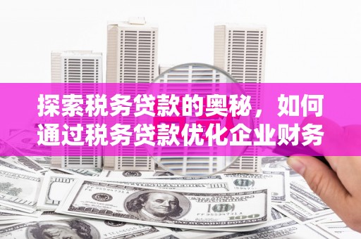 瑞芳探索税务贷款的奥秘，如何通过税务贷款优化企业财务