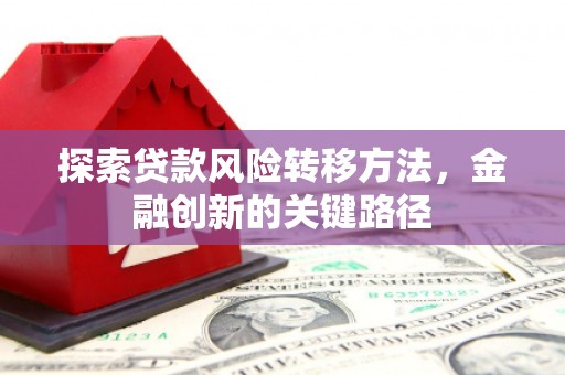 柳南探索贷款风险转移方法，金融创新的关键路径