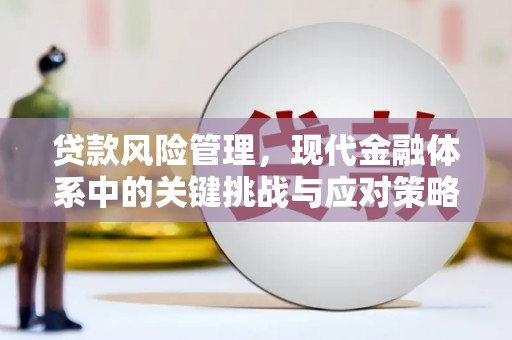 顺城贷款风险管理，现代金融体系中的关键挑战与应对策略