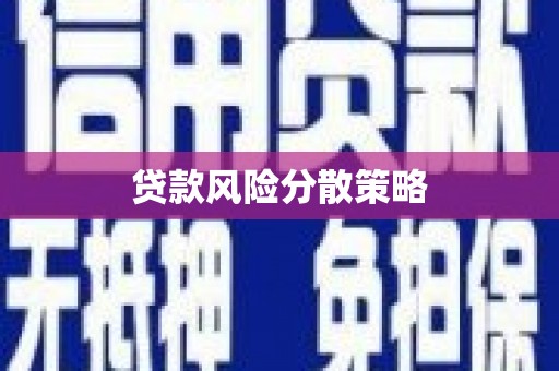 莱城贷款风险分散策略