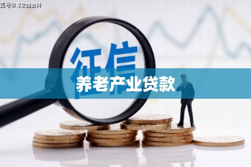 中卫养老产业贷款