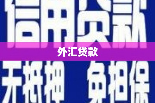 苑里外汇贷款