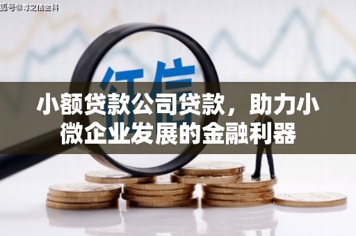新林小额贷款公司贷款，助力小微企业发展的金融利器