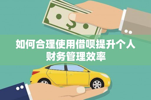 乐东如何合理使用借呗提升个人财务管理效率