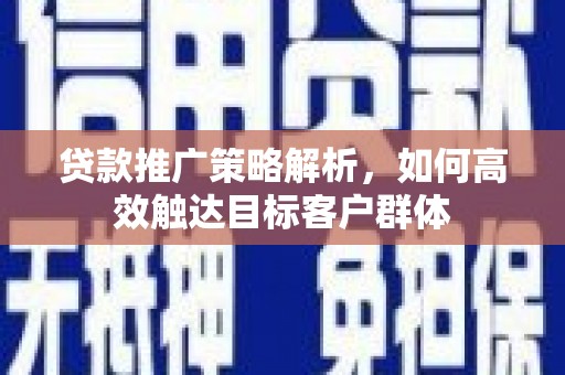 芦淞贷款推广策略解析，如何高效触达目标客户群体