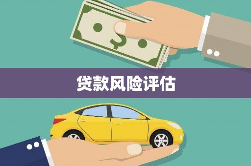 邵阳县贷款风险评估