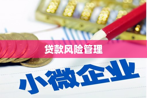 亭湖贷款风险管理