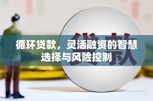 巴楚循环贷款，灵活融资的智慧选择与风险控制