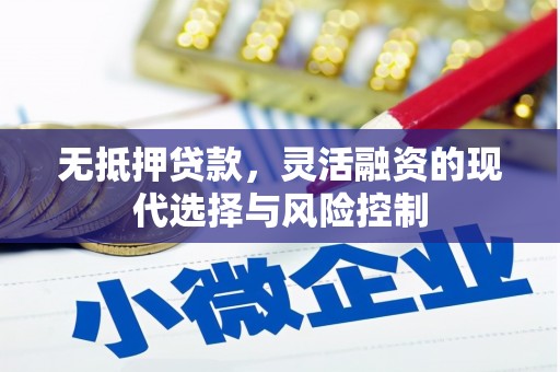 樊城无抵押贷款，灵活融资的现代选择与风险控制