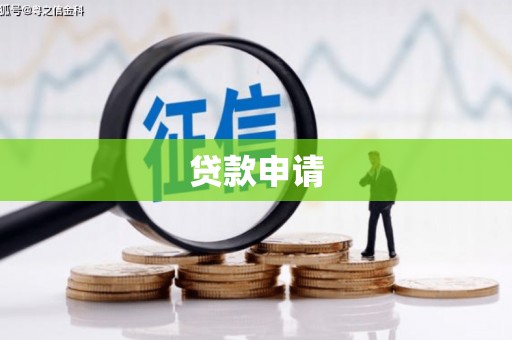 泸水贷款申请