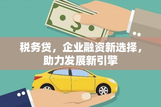 大湖税务贷，企业融资新选择，助力发展新引擎