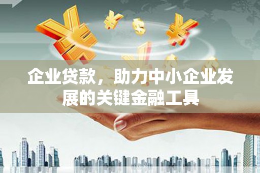 天长企业贷款，助力中小企业发展的关键金融工具