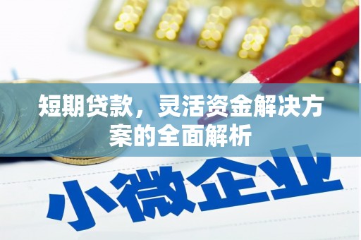 竹山短期贷款，灵活资金解决方案的全面解析