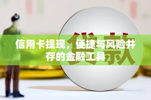 临猗信用卡提现，便捷与风险并存的金融工具