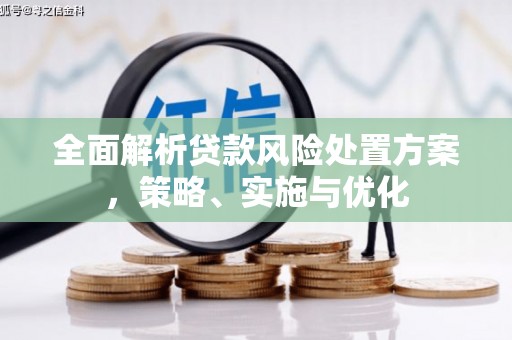 布拖全面解析贷款风险处置方案，策略、实施与优化