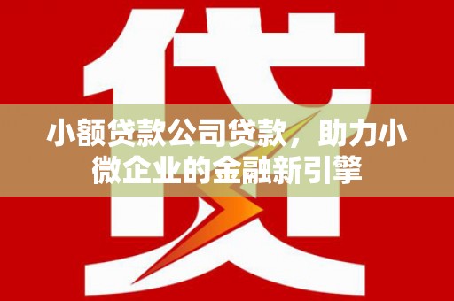 临沭小额贷款公司贷款，助力小微企业的金融新引擎
