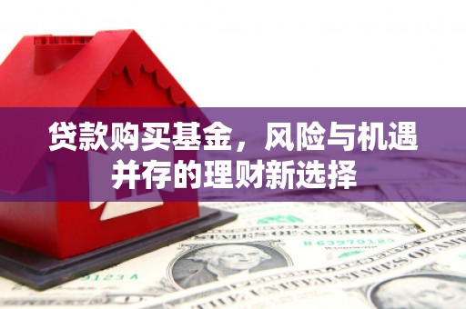鹿谷贷款购买基金，风险与机遇并存的理财新选择