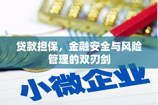 卢龙贷款担保，金融安全与风险管理的双刃剑