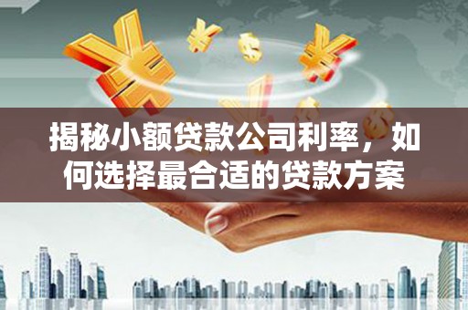 枣庄揭秘小额贷款公司利率，如何选择最合适的贷款方案