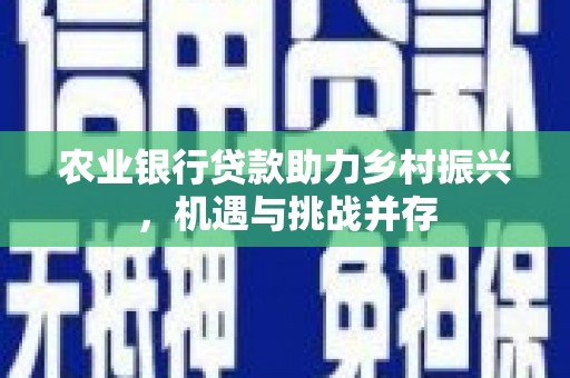 柳营农业银行贷款助力乡村振兴，机遇与挑战并存